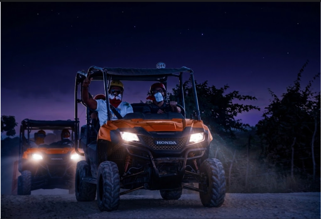 BUGGIES AT NIGHT